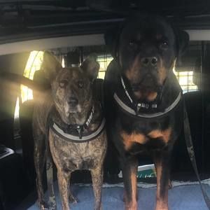 Meet your Posher, Serena